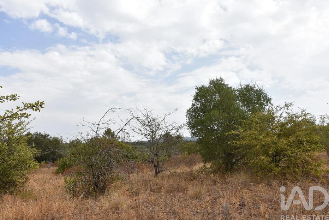 Terreno para Venda em Nossa Senhora do Pranto Foto 15