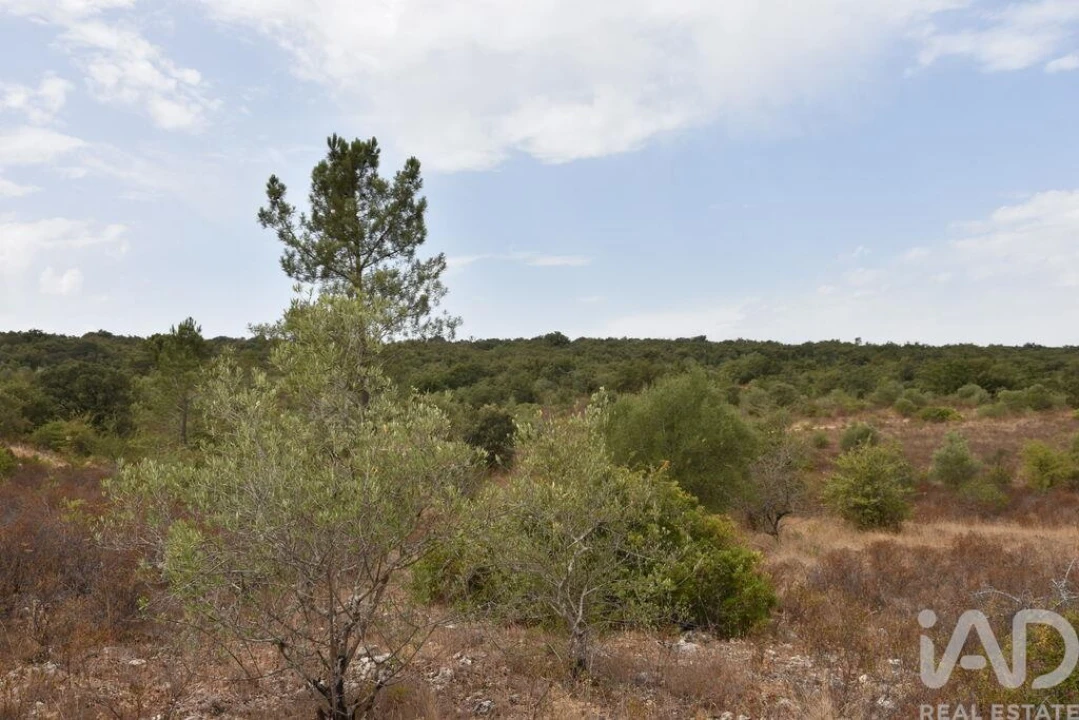 Terreno para Venda em Nossa Senhora do Pranto Foto 7