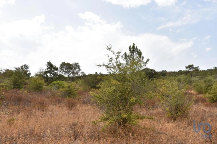 Terreno para Venda em Nossa Senhora do Pranto Foto 13