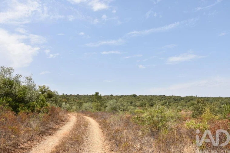Terreno para Venda em Nossa Senhora do Pranto Foto 29