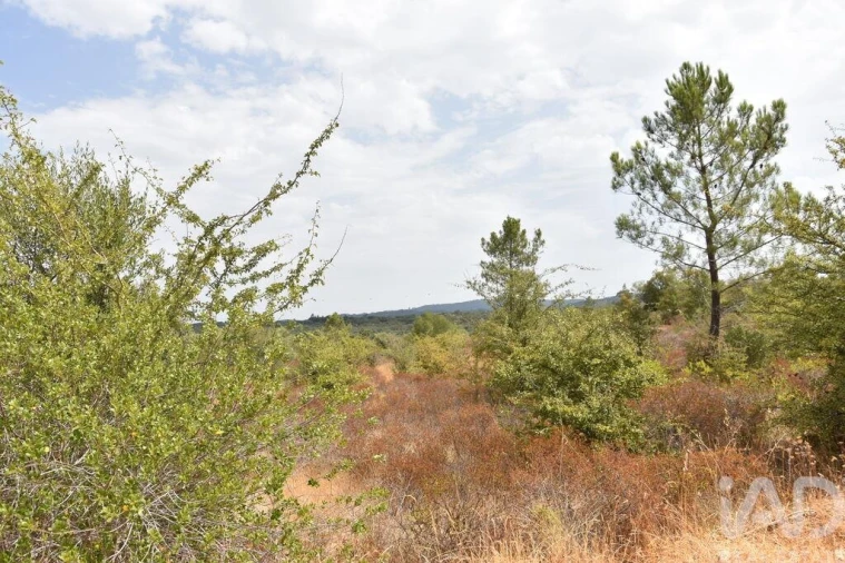 Terreno para Venda em Nossa Senhora do Pranto Foto 20