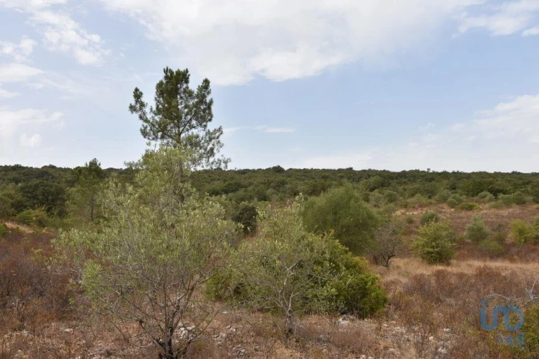 Terreno para Venda em Nossa Senhora do Pranto Foto 7