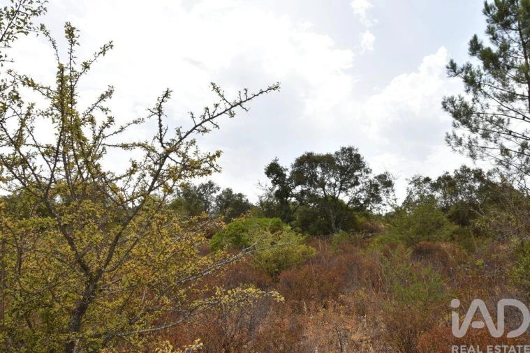 Terreno para Venda em Nossa Senhora do Pranto Foto 16