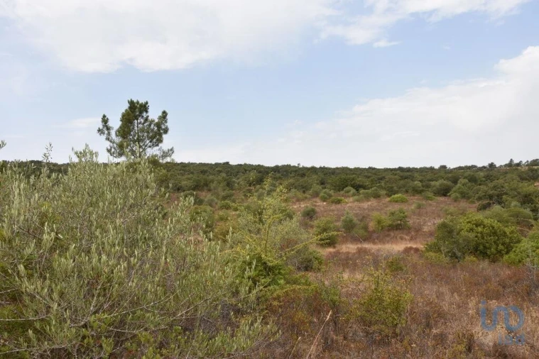 Terreno para Venda em Nossa Senhora do Pranto Foto 6