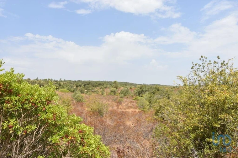 Terreno para Venda em Nossa Senhora do Pranto Foto 2