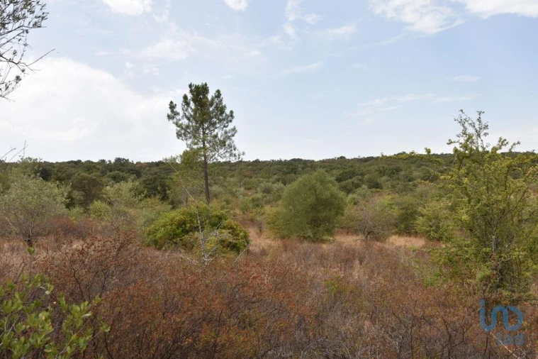 Terreno para Venda em Nossa Senhora do Pranto Foto 12