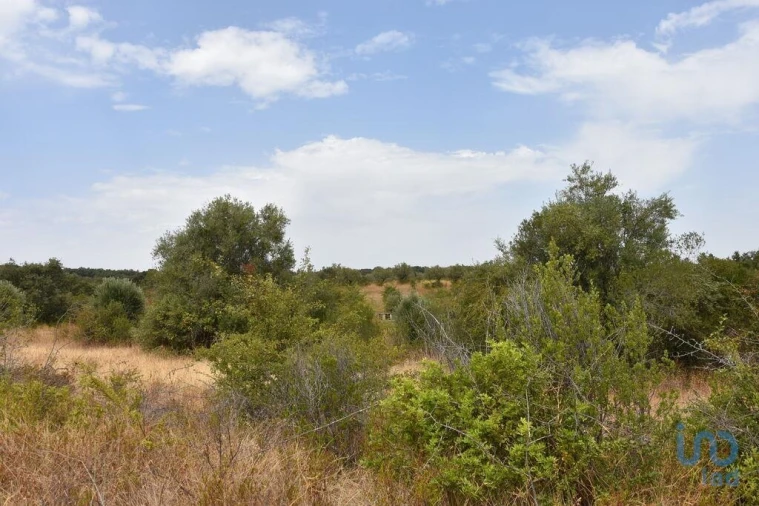 Terreno para Venda em Nossa Senhora do Pranto Foto 4