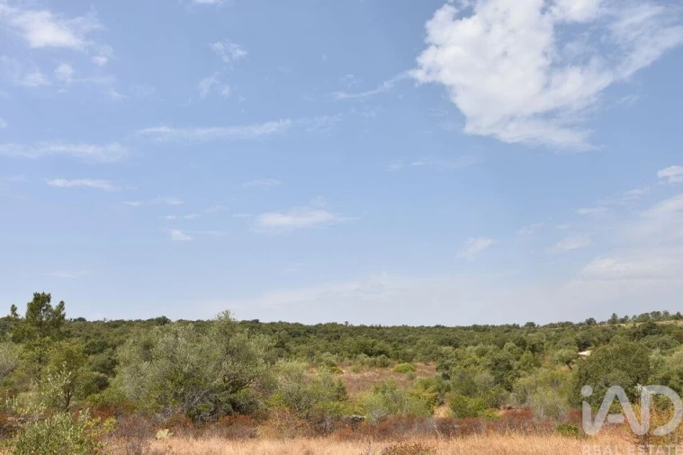 Terreno para Venda em Nossa Senhora do Pranto Foto 28