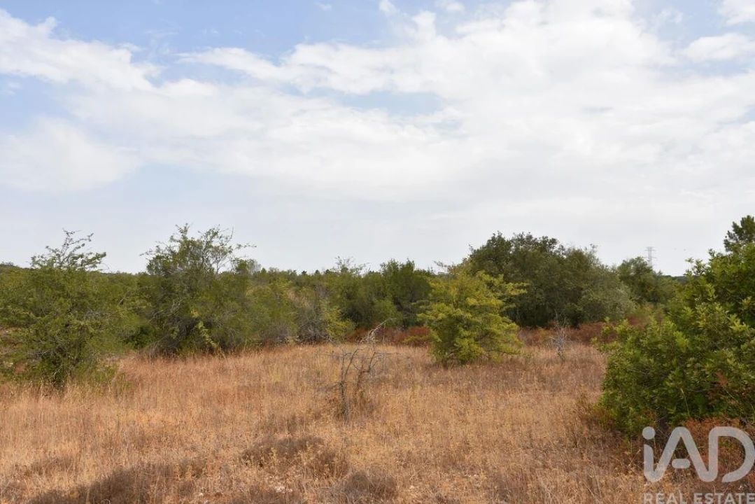 Terreno para Venda em Nossa Senhora do Pranto Foto 10
