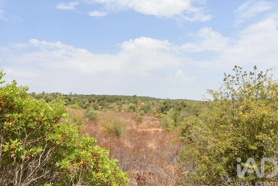 Terreno para Venda em Nossa Senhora do Pranto Foto 2