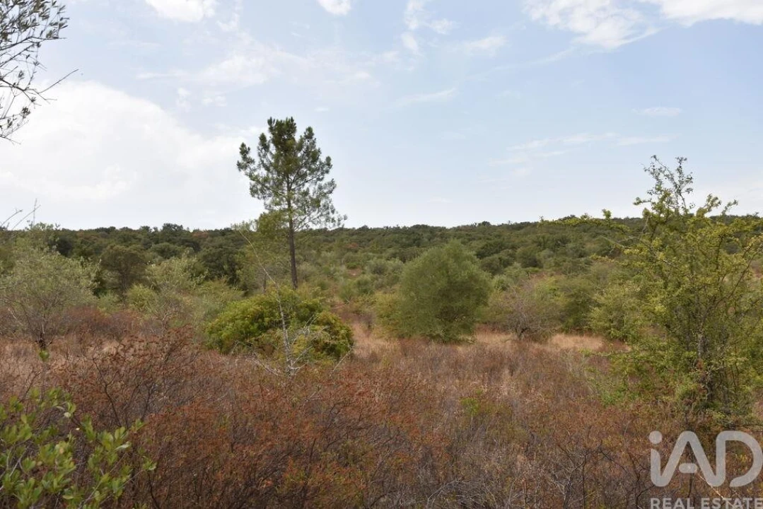 Terreno para Venda em Nossa Senhora do Pranto Foto 12