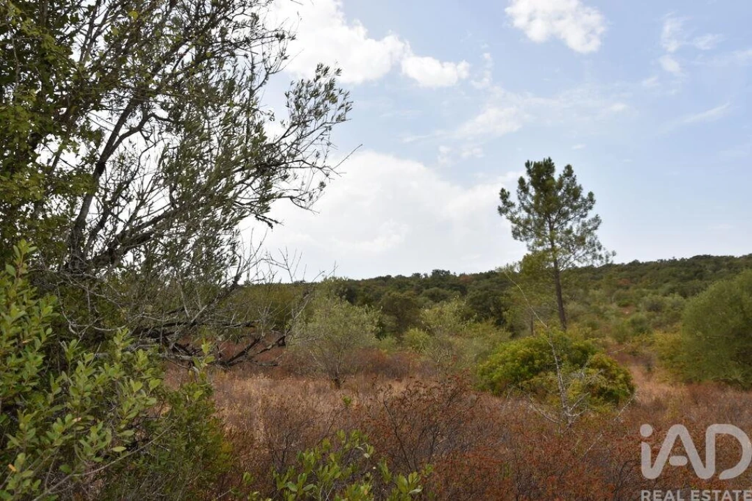 Terreno para Venda em Nossa Senhora do Pranto Foto 11