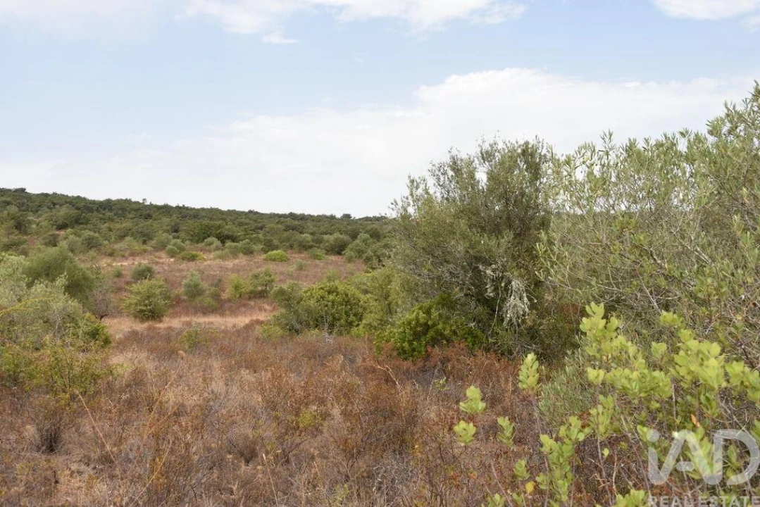 Terreno para Venda em Nossa Senhora do Pranto Foto 5