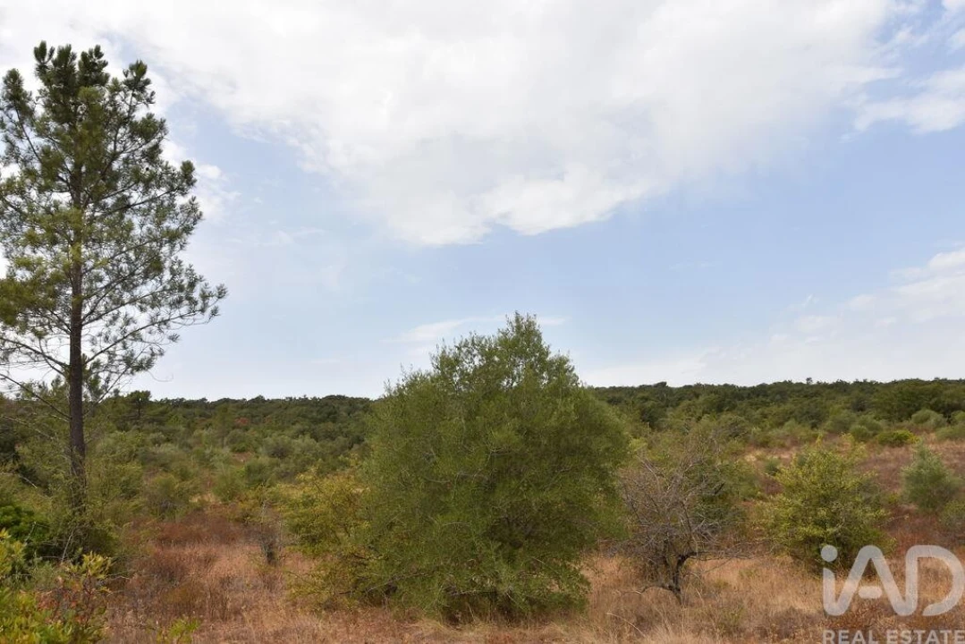 Terreno para Venda em Nossa Senhora do Pranto Foto 9