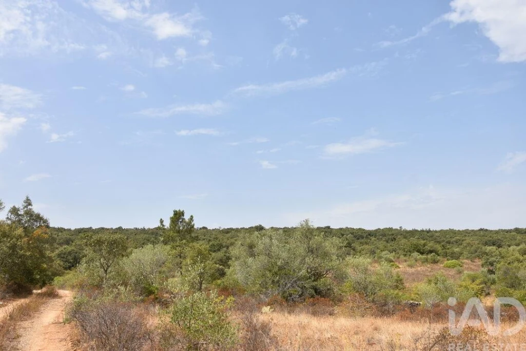 Terreno para Venda em Nossa Senhora do Pranto Foto 27