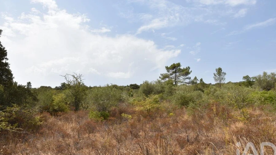 Terreno para Venda em Nossa Senhora do Pranto