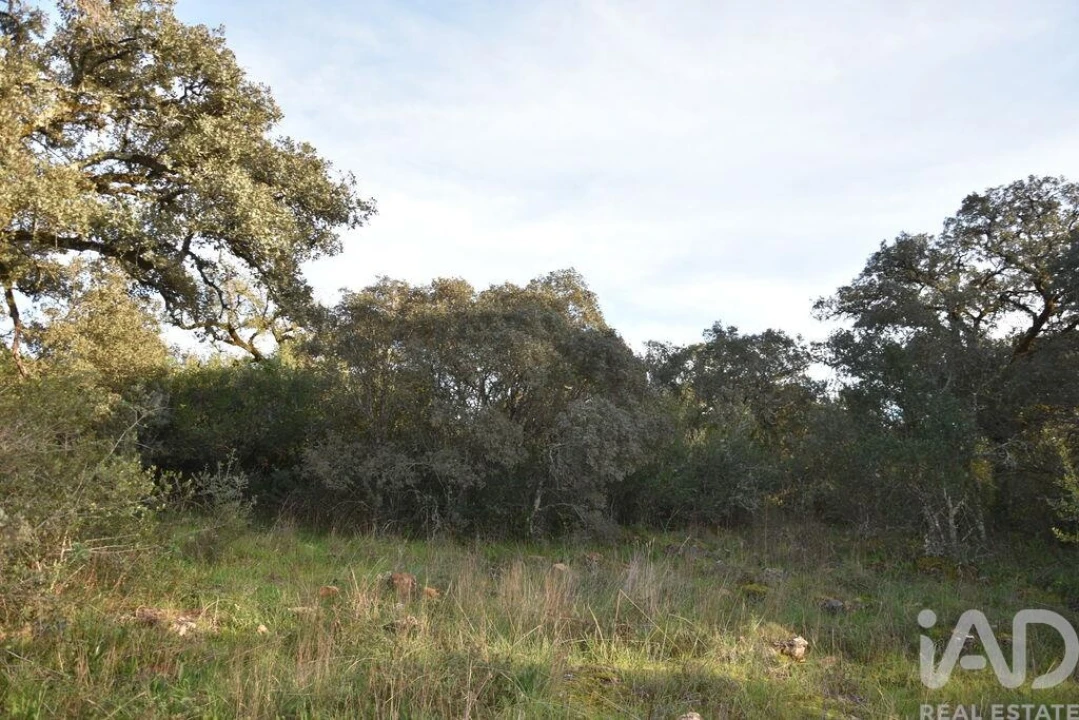 Terreno para Venda em Nossa Senhora do Pranto Foto 8