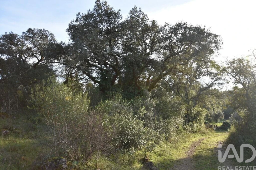 Terreno para Venda em Nossa Senhora do Pranto Foto 3