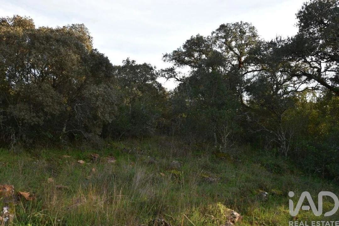 Terreno para Venda em Nossa Senhora do Pranto Foto 6