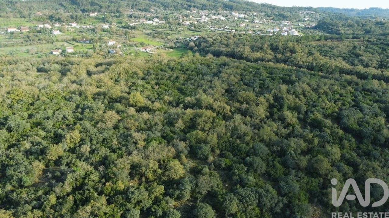 Terreno para Venda em Nossa Senhora do Pranto Foto 1