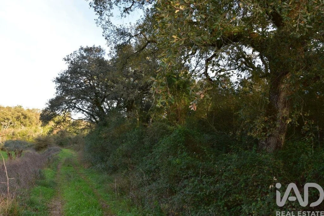 Terreno para Venda em Nossa Senhora do Pranto Foto 11