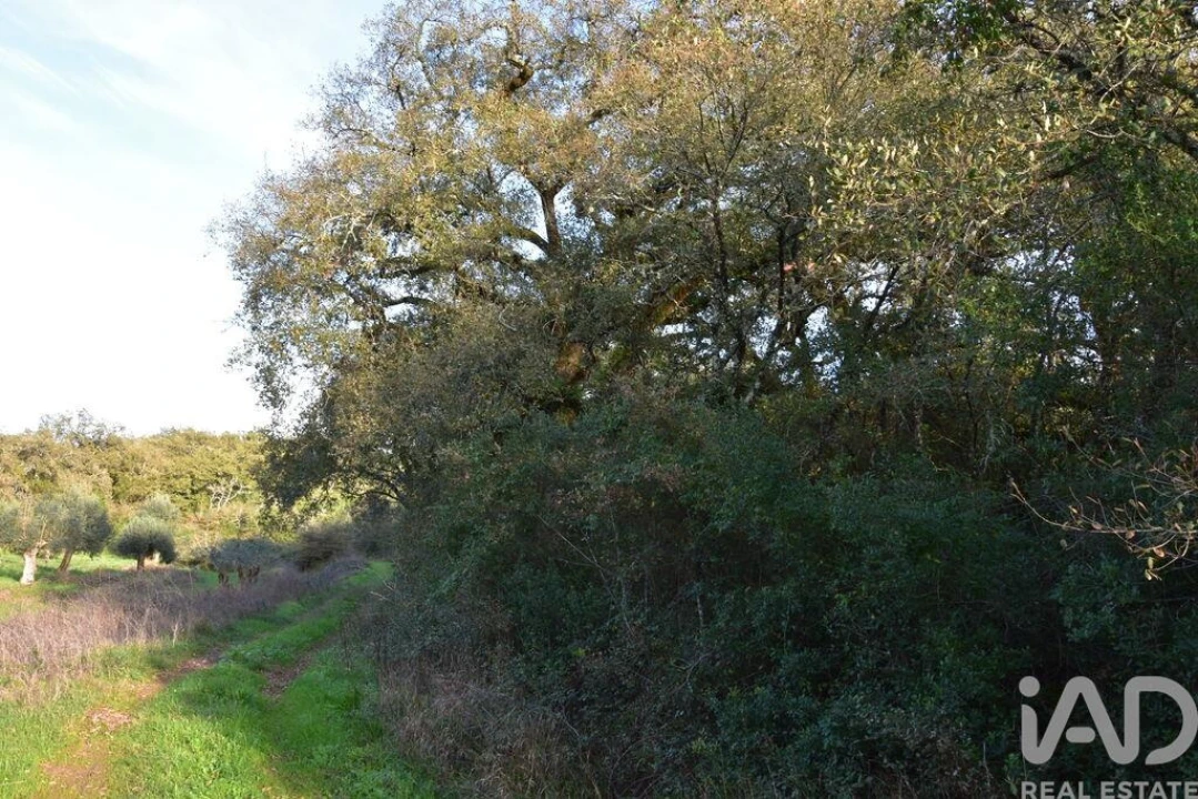 Terreno para Venda em Nossa Senhora do Pranto Foto 9