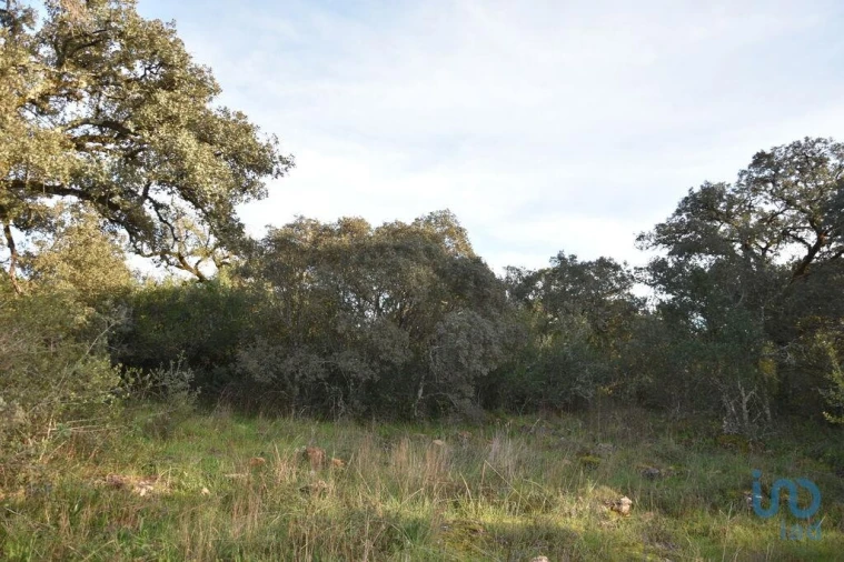 Terreno para Venda em Nossa Senhora do Pranto Foto 8
