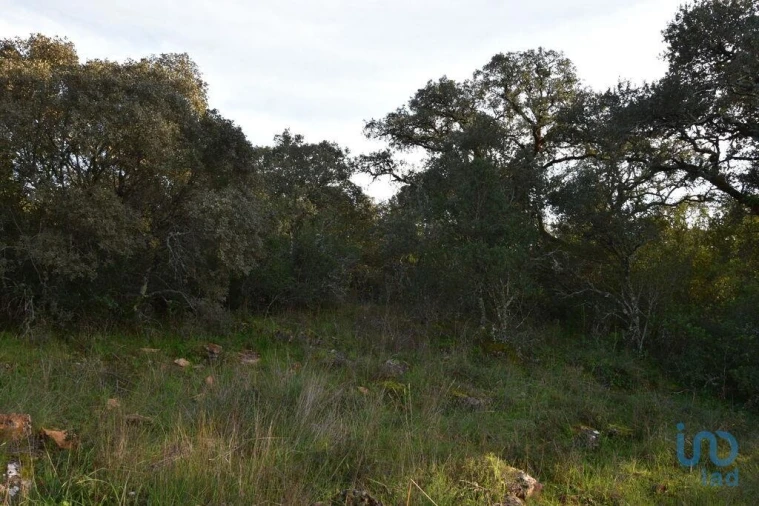 Terreno para Venda em Nossa Senhora do Pranto Foto 6