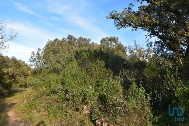 Terreno para Venda em Nossa Senhora do Pranto Foto 4