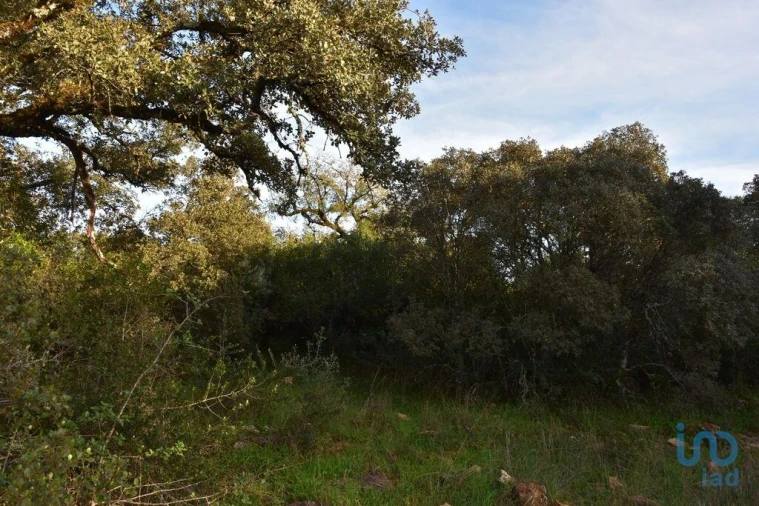 Terreno para Venda em Nossa Senhora do Pranto Foto 7