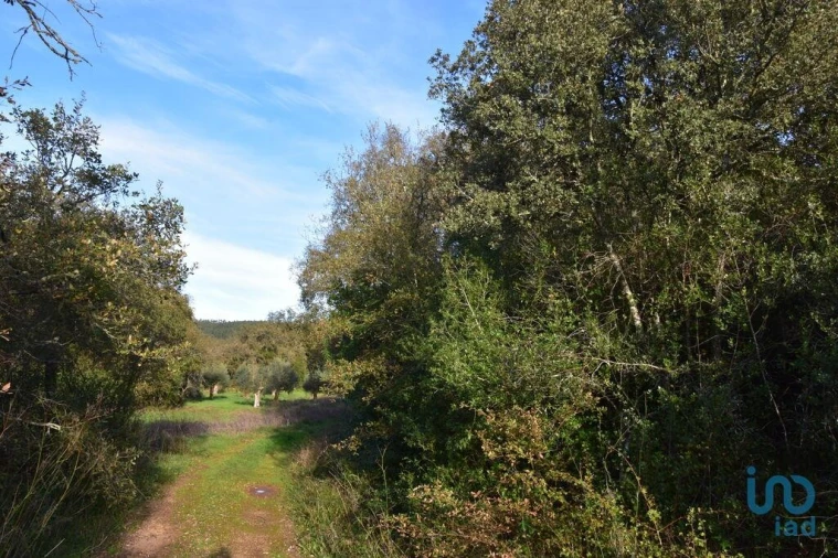 Terreno para Venda em Nossa Senhora do Pranto Foto 5