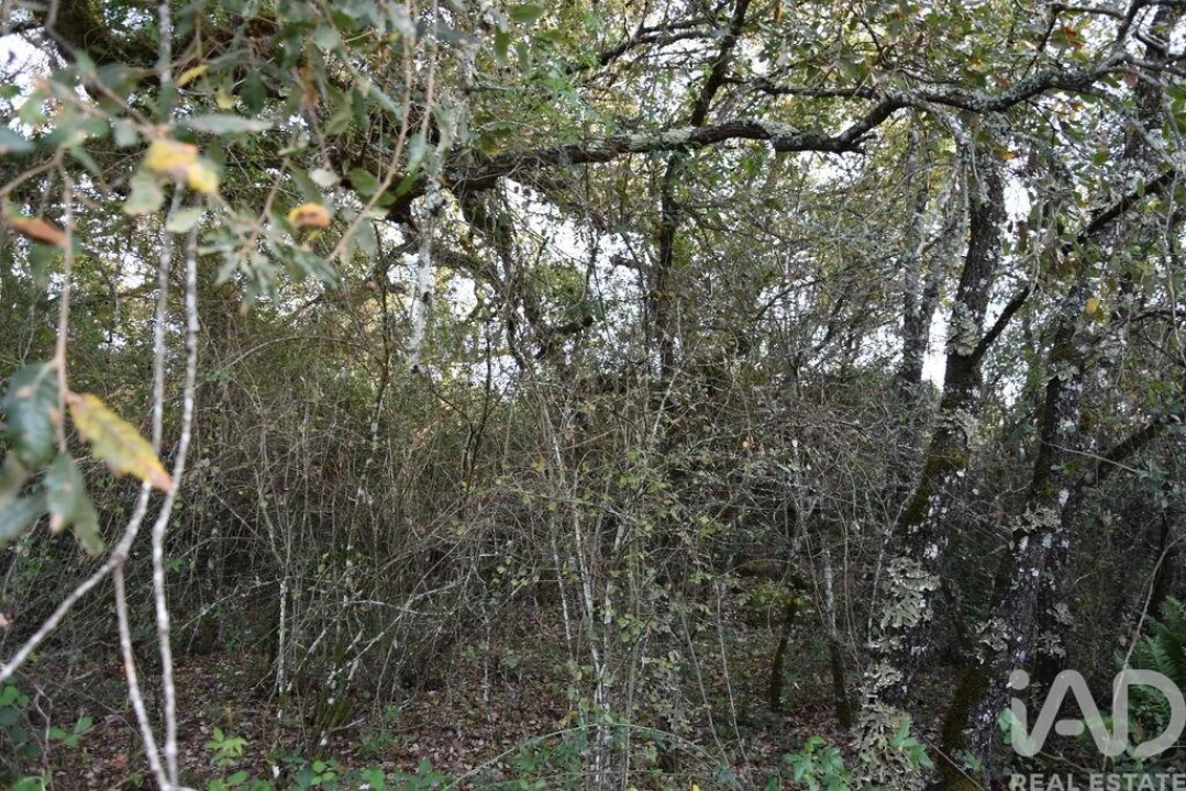 Terreno para Venda em Nossa Senhora do Pranto Foto 13