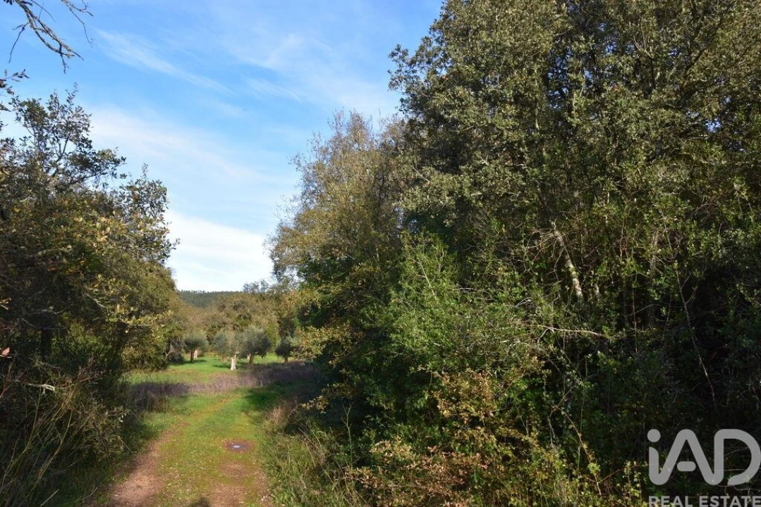 Terreno para Venda em Nossa Senhora do Pranto Foto 5