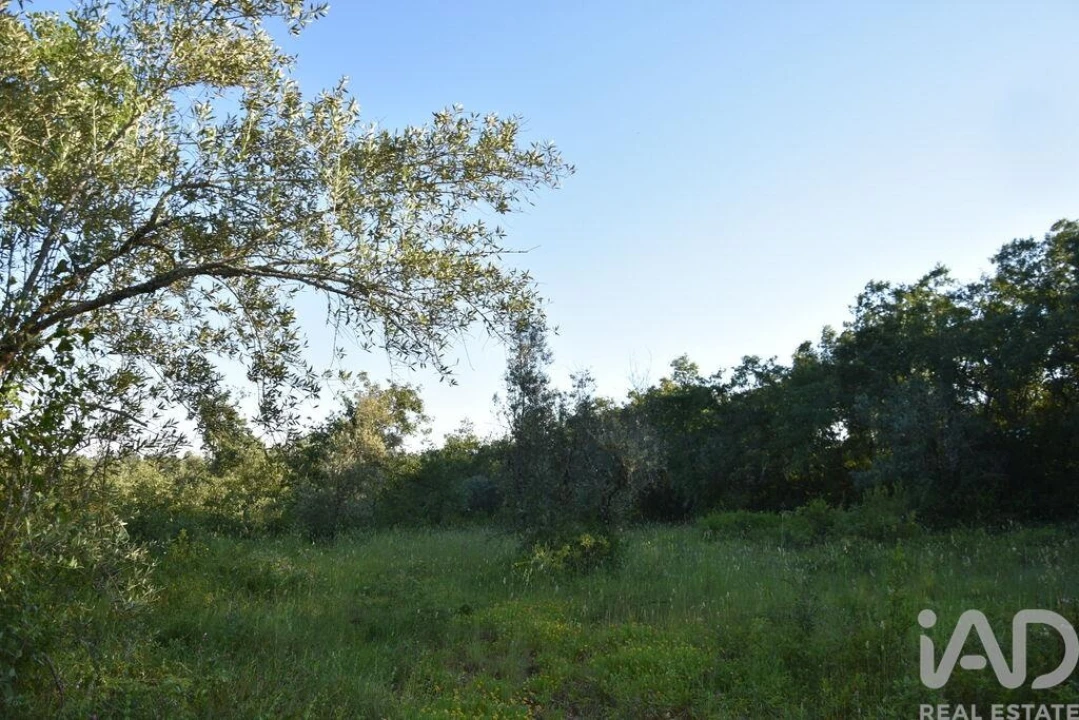 Terreno para Venda em Nossa Senhora do Pranto Foto 28