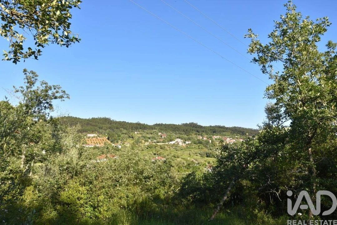 Terreno para Venda em Nossa Senhora do Pranto Foto 7