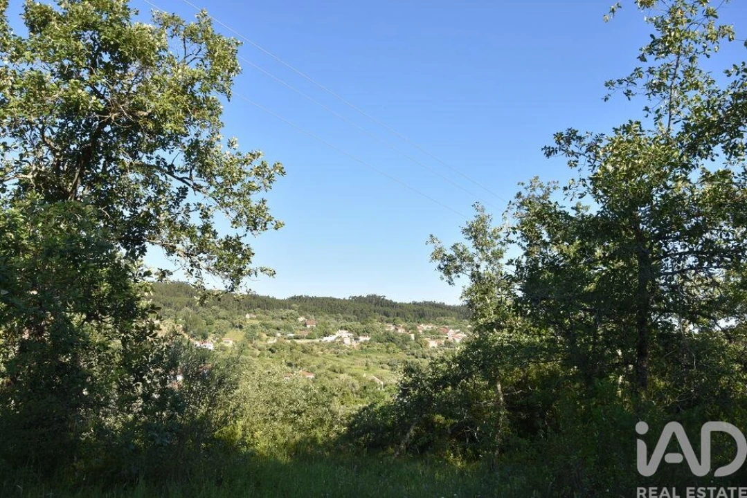 Terreno para Venda em Nossa Senhora do Pranto Foto 23