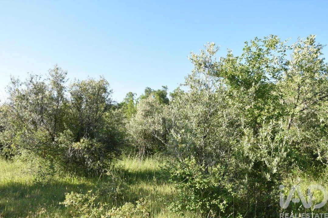 Terreno para Venda em Nossa Senhora do Pranto Foto 10