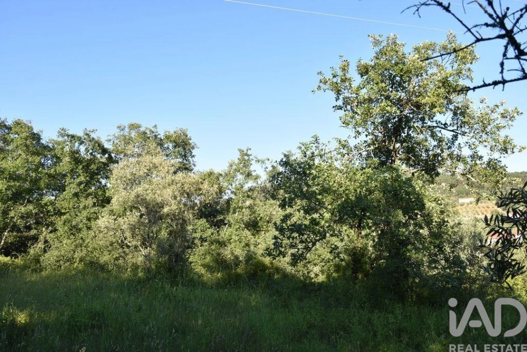 Terreno para Venda em Nossa Senhora do Pranto Foto 5