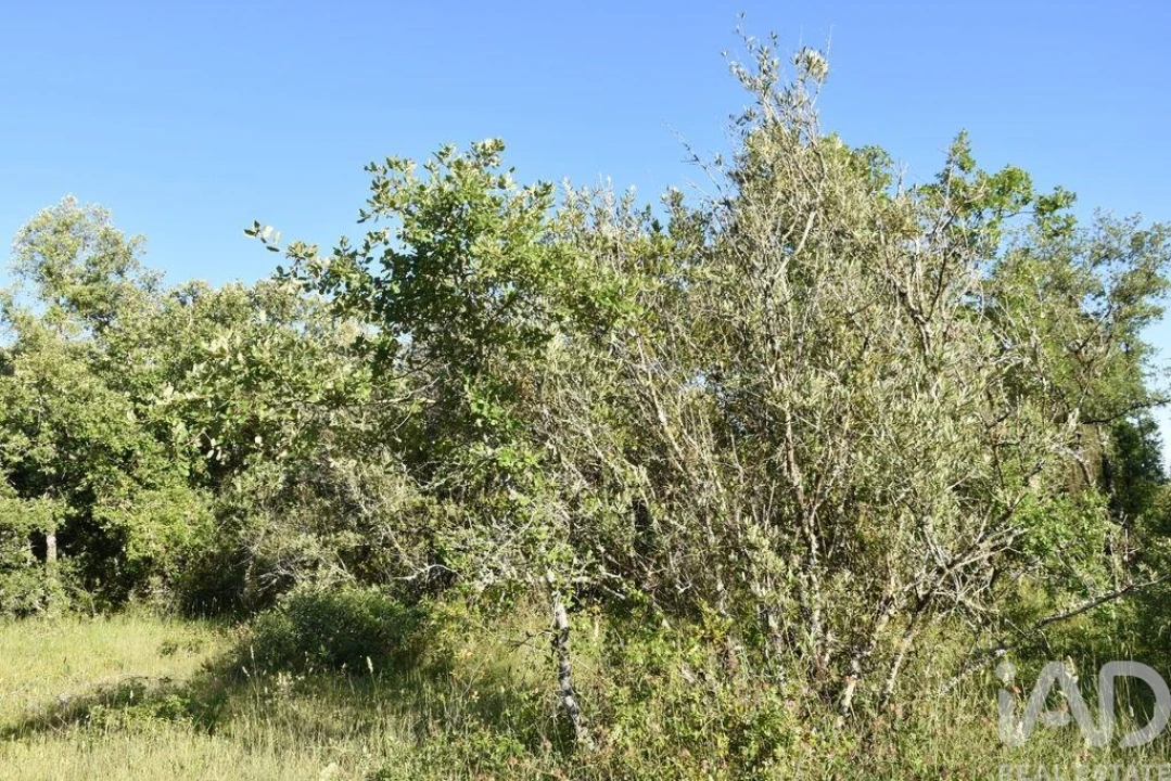 Terreno para Venda em Nossa Senhora do Pranto Foto 12