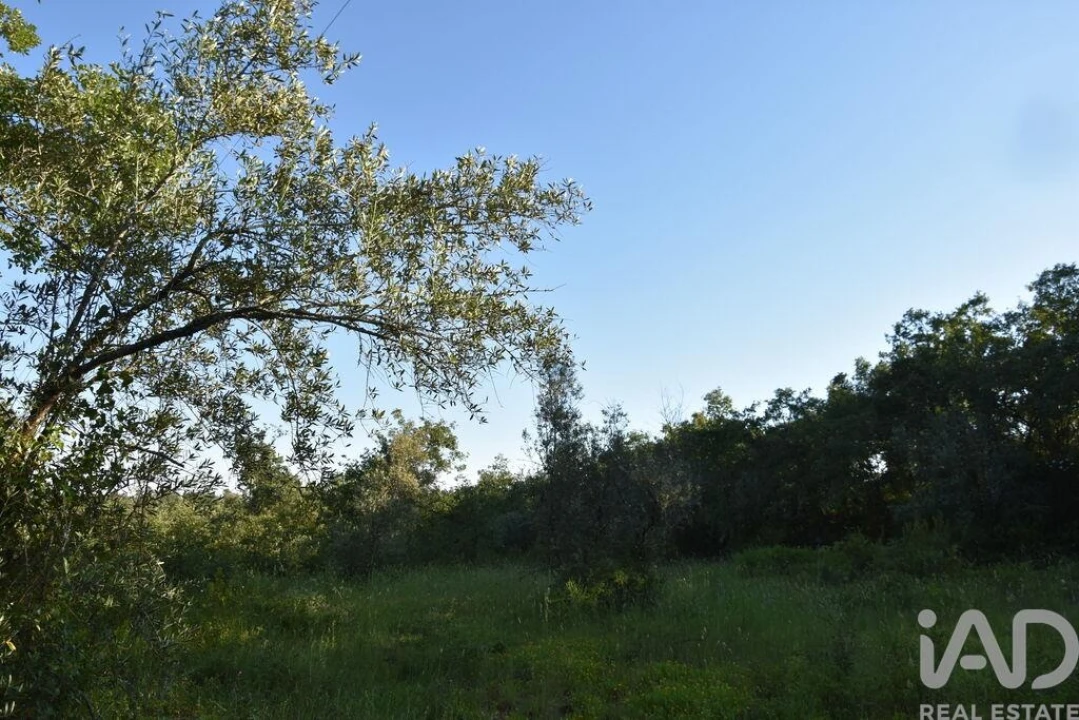 Terreno para Venda em Nossa Senhora do Pranto Foto 26