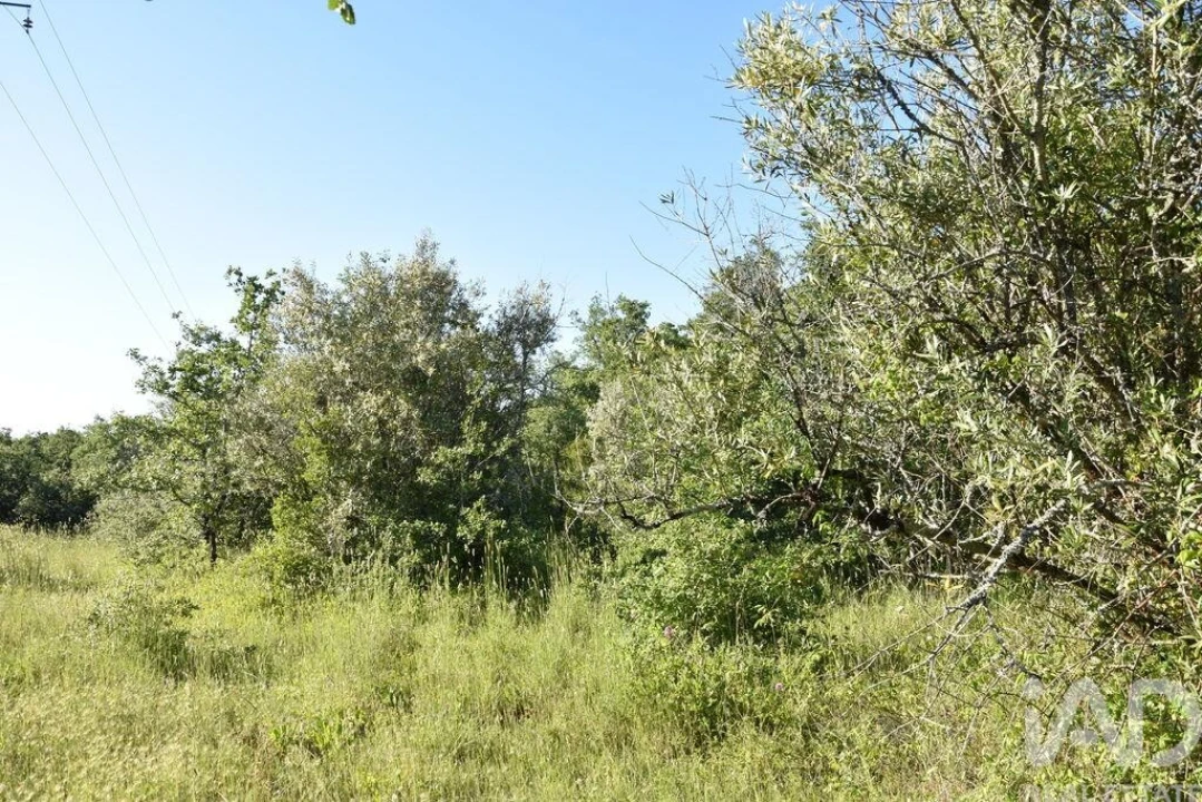 Terreno para Venda em Nossa Senhora do Pranto Foto 13
