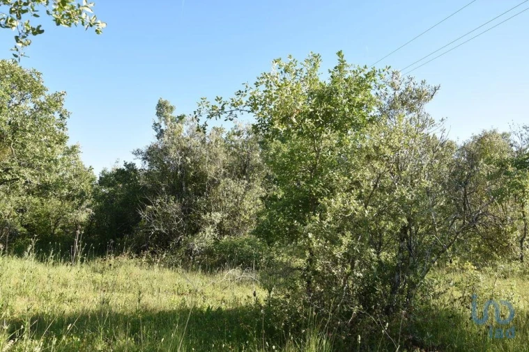 Terreno para Venda em Nossa Senhora do Pranto Foto 8