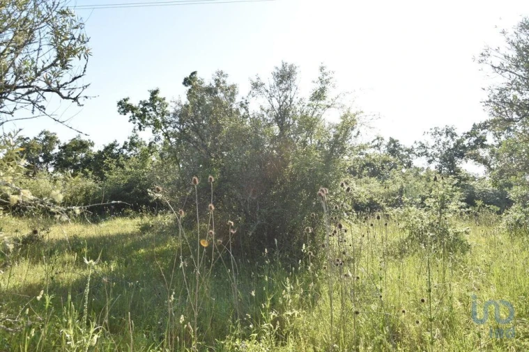 Terreno para Venda em Nossa Senhora do Pranto Foto 6