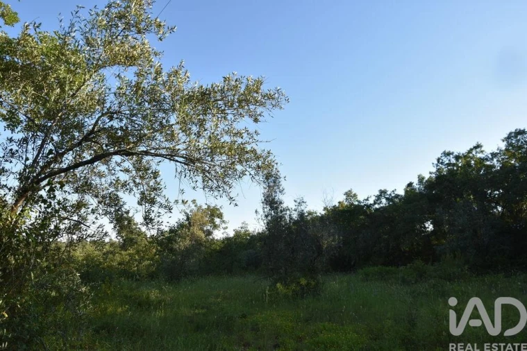 Terreno para Venda em Nossa Senhora do Pranto Foto 26