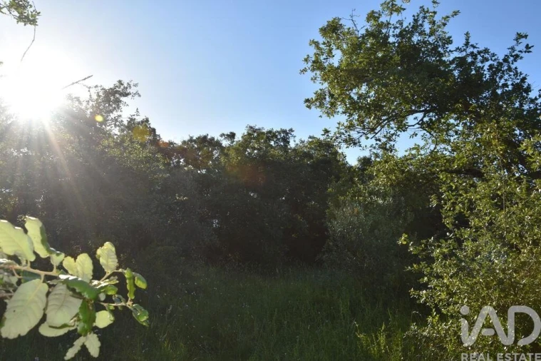 Terreno para Venda em Nossa Senhora do Pranto Foto 19