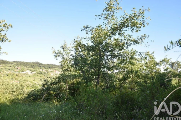 Terreno para Venda em Nossa Senhora do Pranto Foto 22