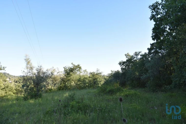 Terreno para Venda em Nossa Senhora do Pranto Foto 14