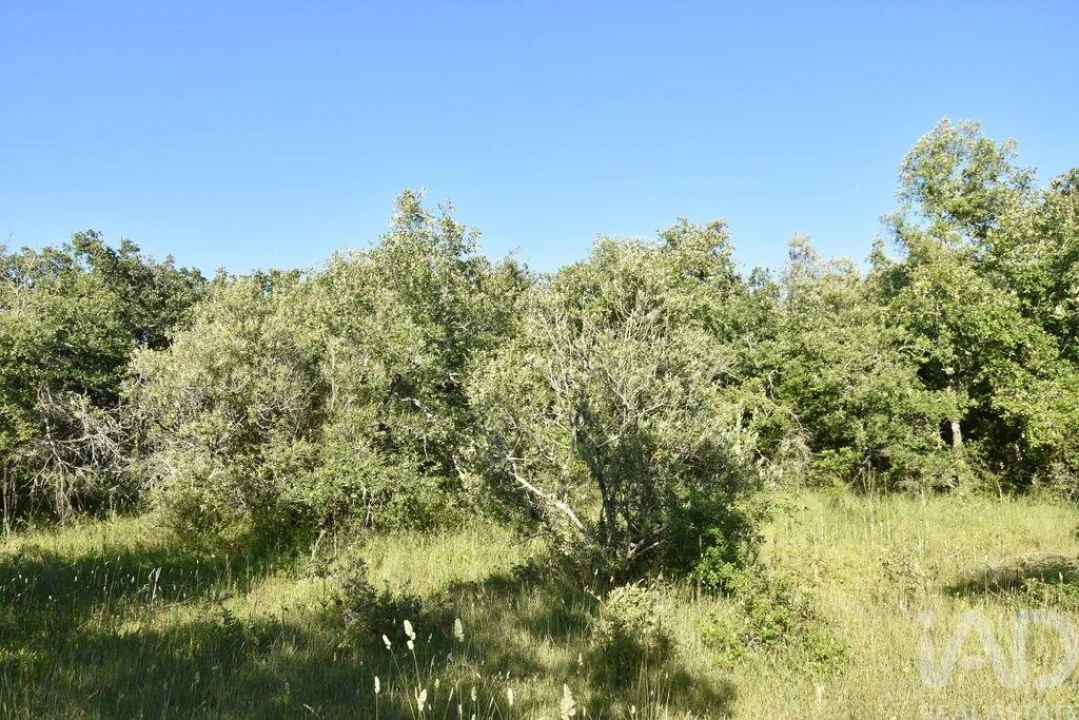 Terreno para Venda em Nossa Senhora do Pranto Foto 11