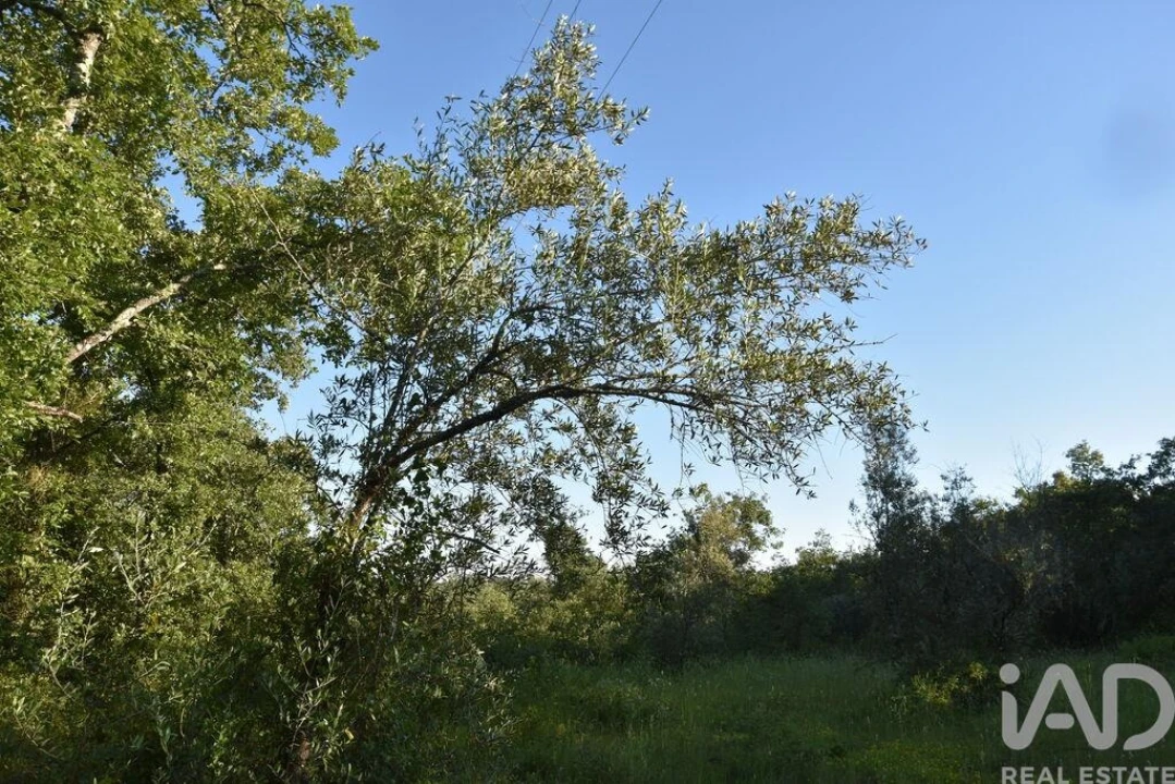 Terreno para Venda em Nossa Senhora do Pranto Foto 25