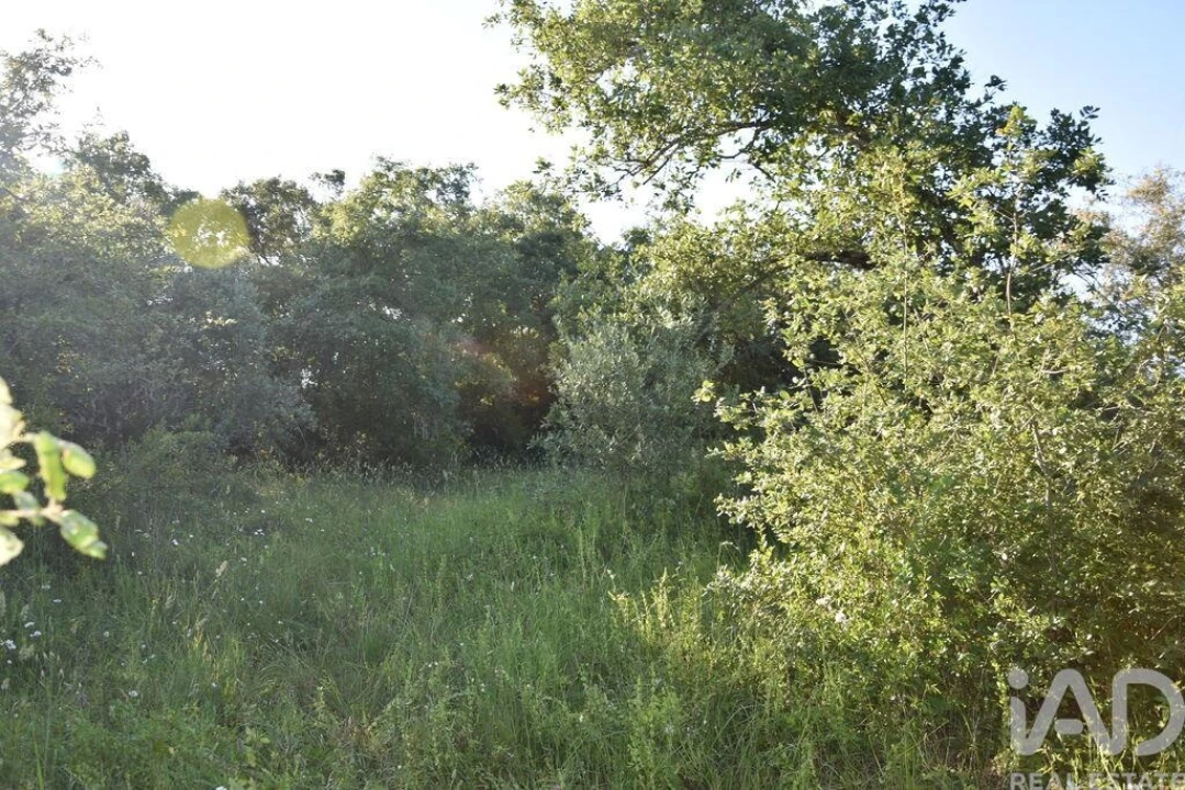 Terreno para Venda em Nossa Senhora do Pranto Foto 20